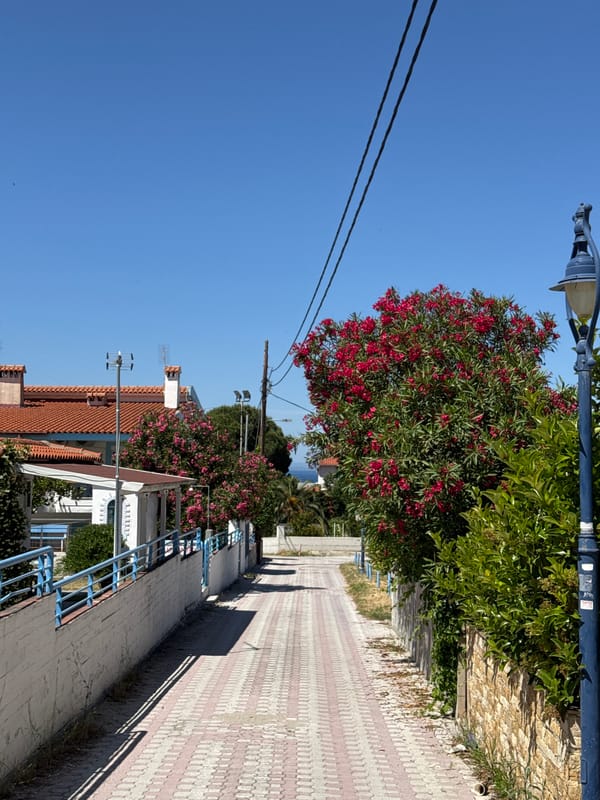 Beachgoer's hour-long visit documented in Pallini Municipal Unit, Greece