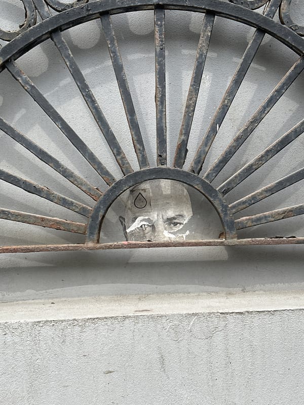 Face observed through decorative metal grating in Moscow