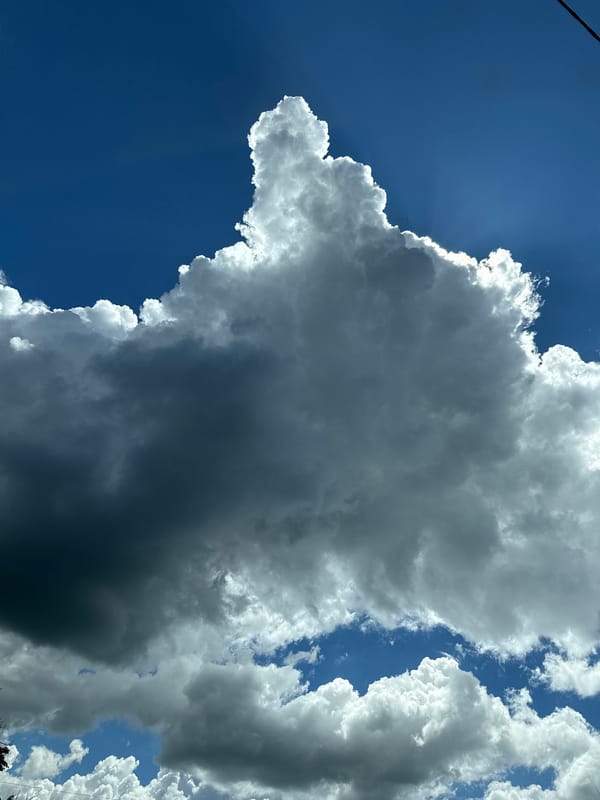 Morning sky with puffy clouds observed in Kharkiv