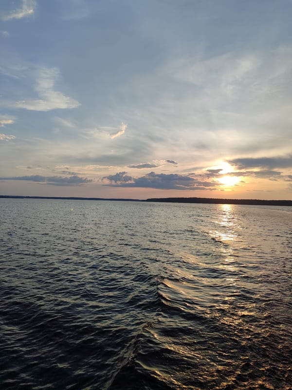 Lake or river at golden hour, treeline on the horizon