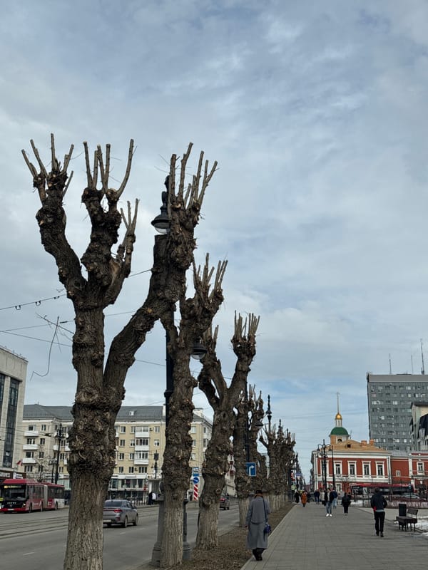 Daily life documented across Perm, Russia over 80 minutes