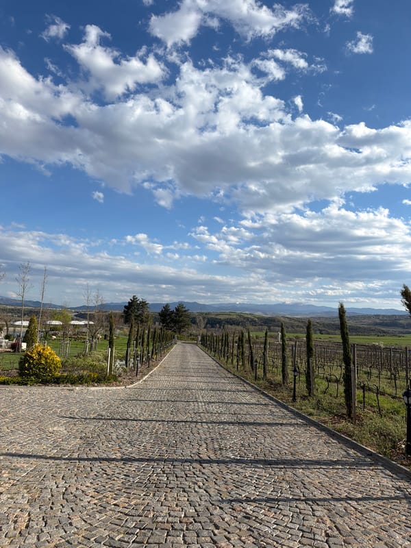 Historic stone tower and vineyard documented in Kocherinovo, Bulgaria