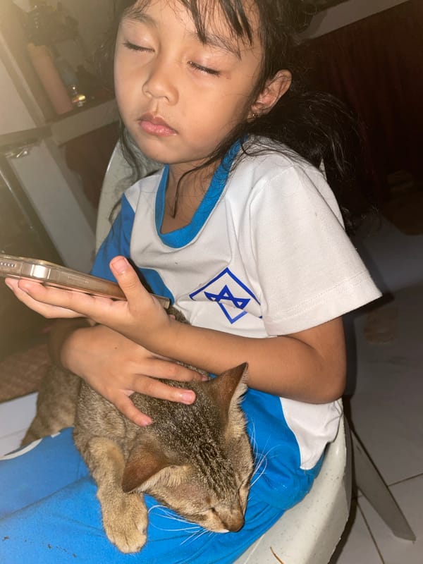 Lazy afternoon at home in Davao with cats and greenery