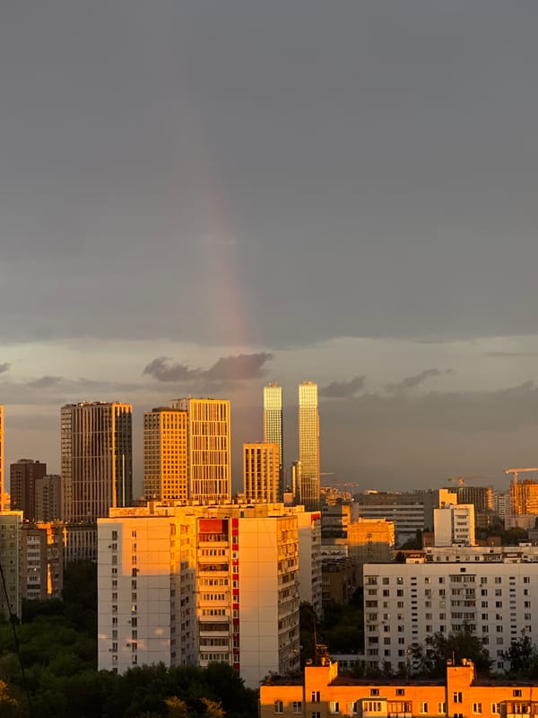 City skyline at golden hour, multiple angles including a bus interior