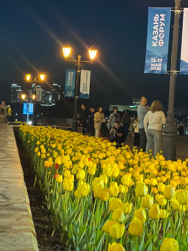 Evening strollers enjoy tulip-lined walkway in Kazan