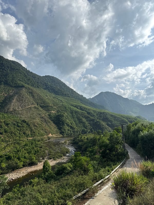 Pink-haired motorcyclist travels mountain road near Đà Nẵng
