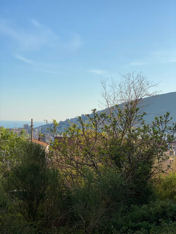 Spring afternoon observations captured across coastal Budva, Montenegro