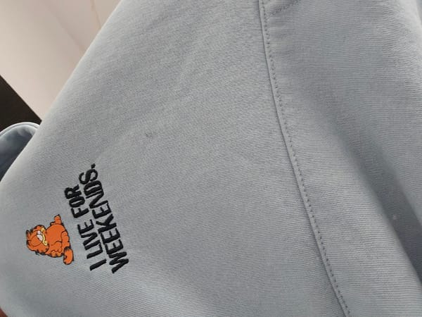 Garfield sweatshirt and sleeping dog documented in Belitsa, Bulgaria