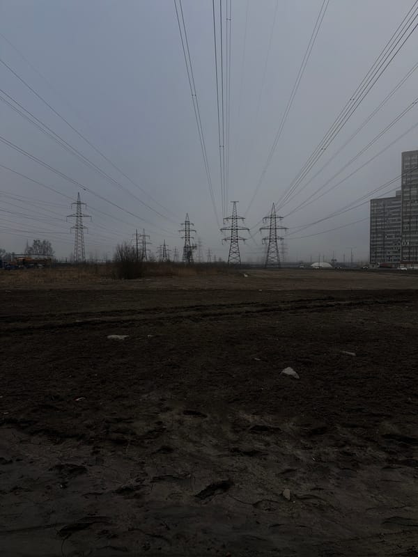 Overcast morning landscape with muddy ground in Murino, Russia