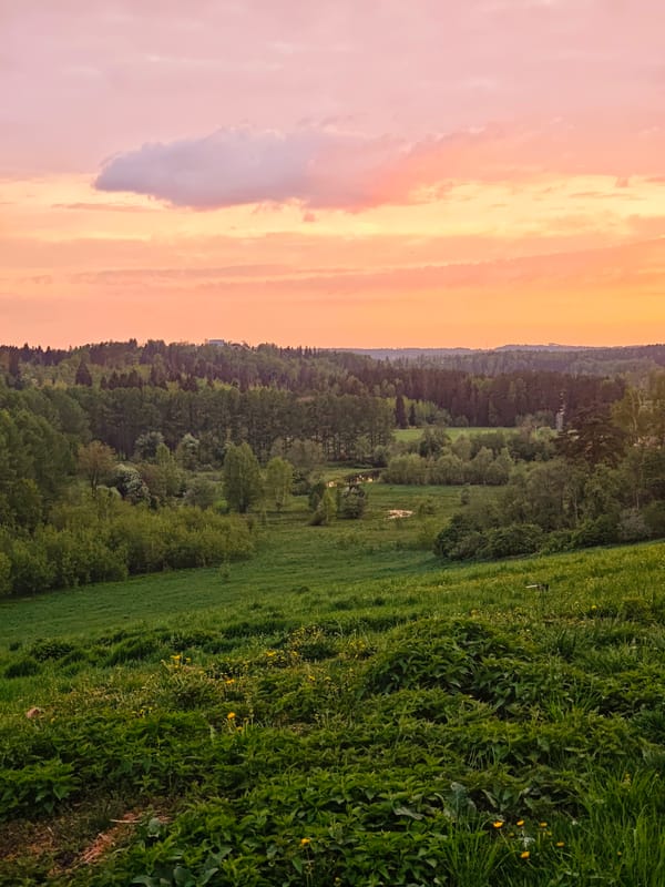 Sunset documented over dandelion fields in Ильинское, Russia