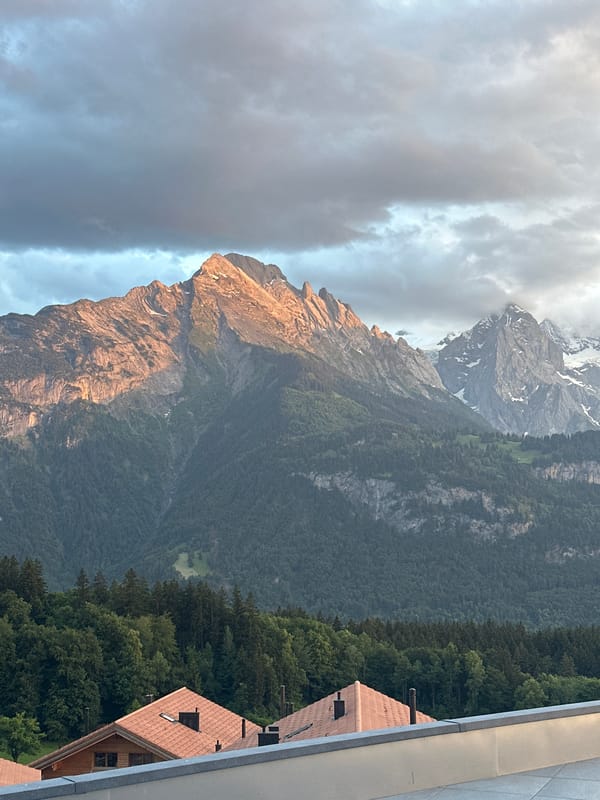 Rooftops and forest at dusk in Hasliberg Reuti, Switzerland