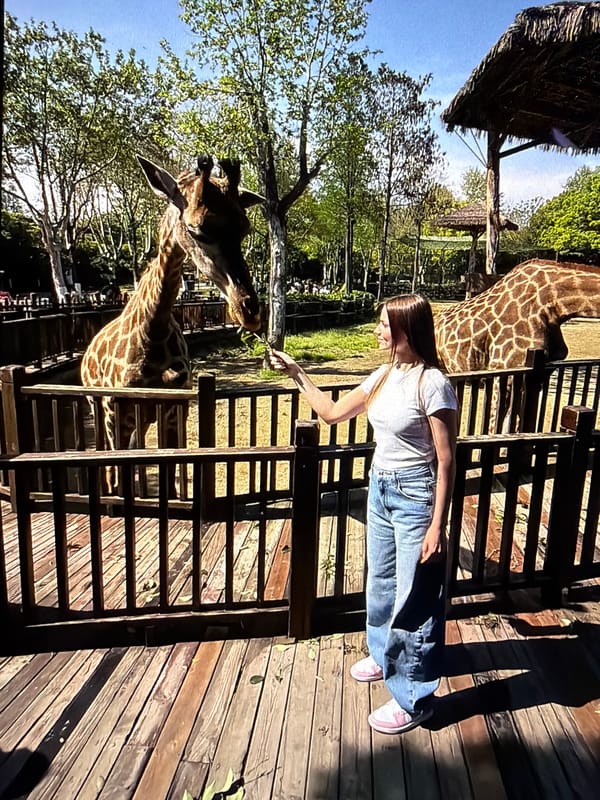 Visitor tours animal exhibits at Medan zoo facility