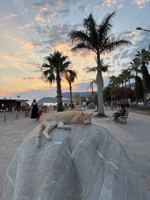 Alanya at sunset: beach cats, glowing fountains, and evening calm