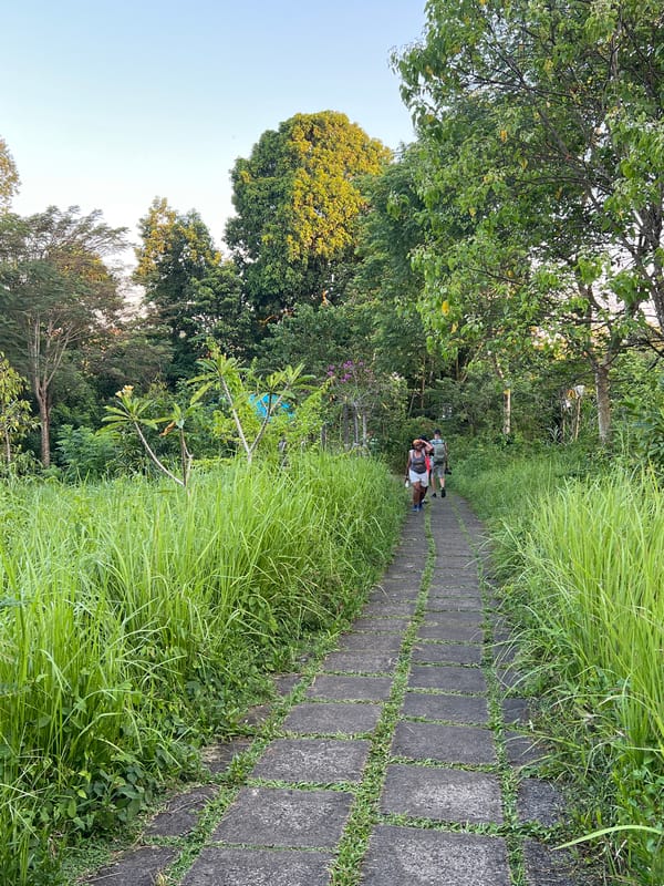 Tourists explore stone pathway through lush Ubud landscape
