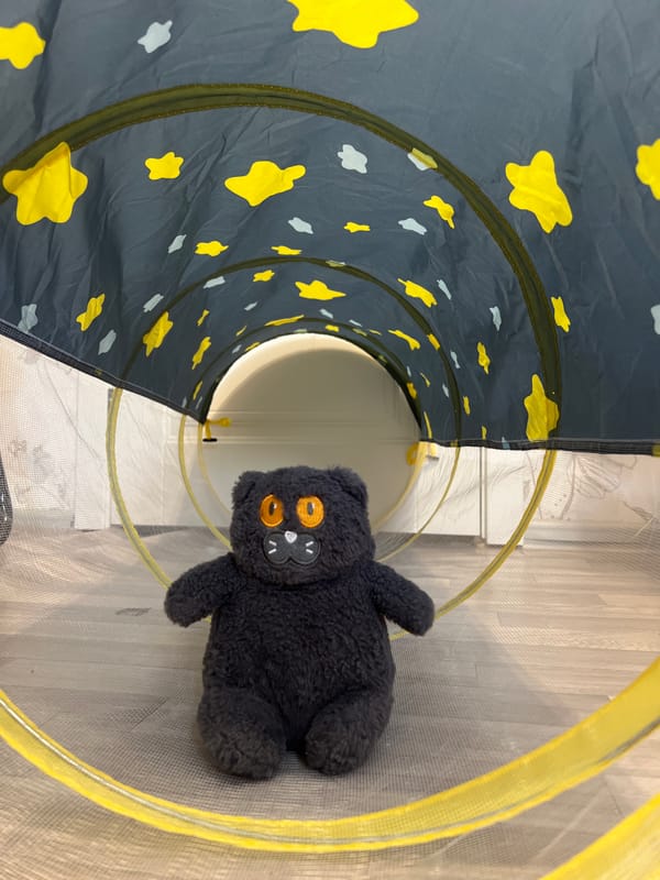 Morning playtime documented in Yekaterinburg home
