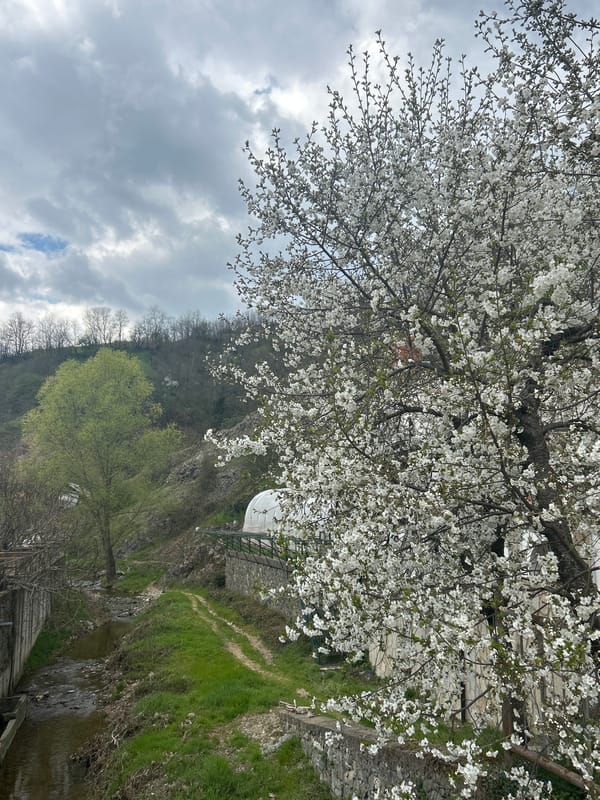 Quiet Sunday morning captured in Zlatograd, Bulgaria springtime scenes
