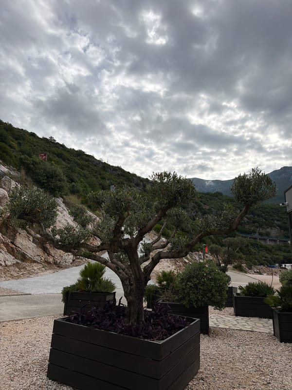 Morning coastal journey documented through Montenegro's Kamenovo-Rafailovići region