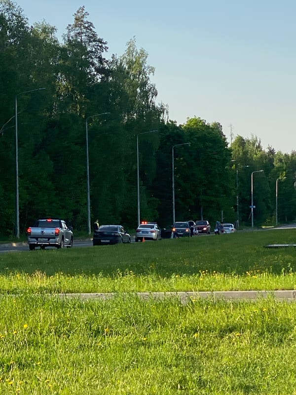 Vehicles stopped near roadside construction materials and wildflowers