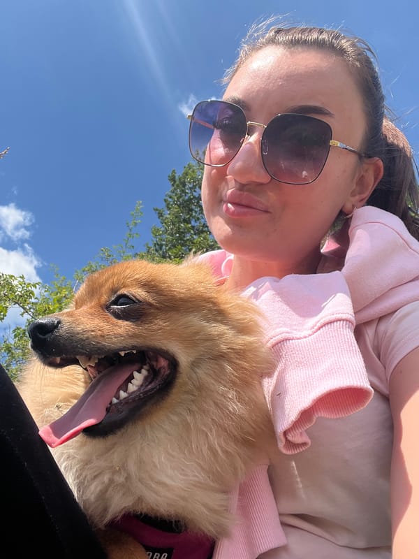 Sunny hilltop afternoon in Karniowice with a dog in tow