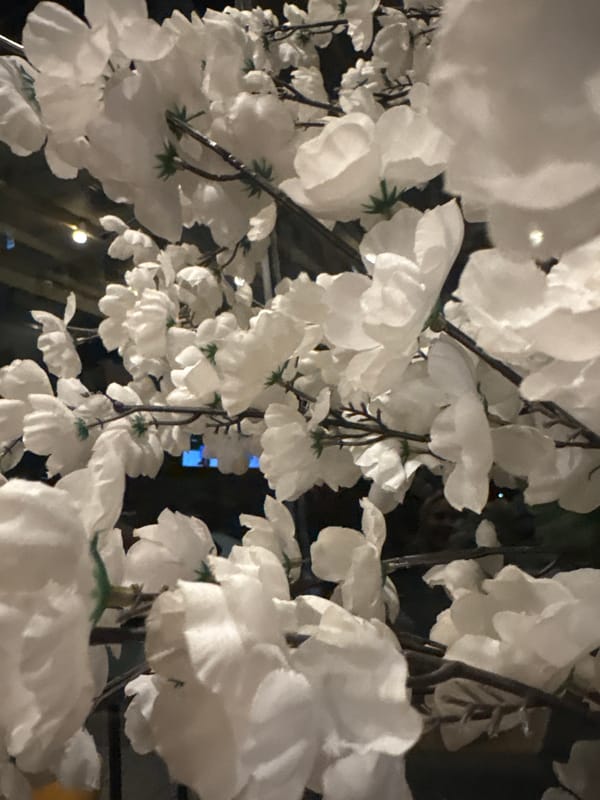 Friends dine and socialize at Sofia restaurant