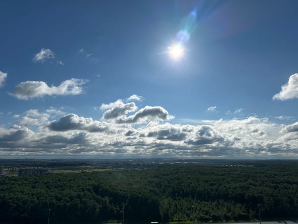 Aerial views drift between dense forest, highway, and city building
