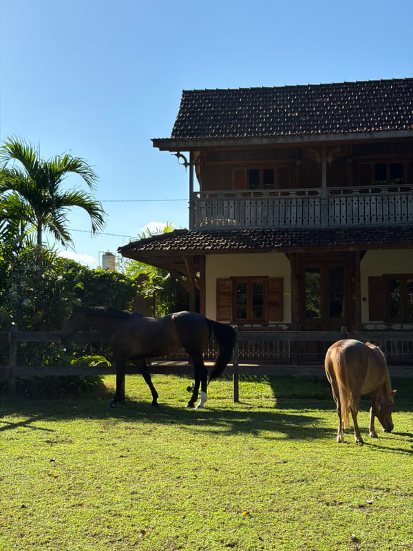 Peaceful afternoon at traditional horse property in Kediri, Indonesia