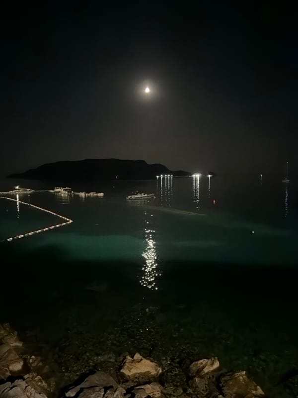 Budva's coastline at night, bay reflections and clifftop bars