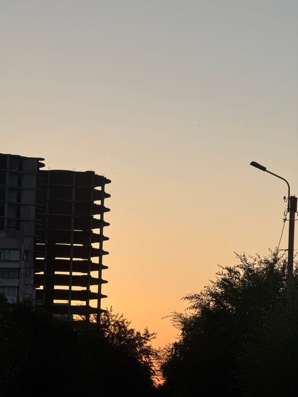 Evening walk with a pit bull through Zaporizhzhia at dusk