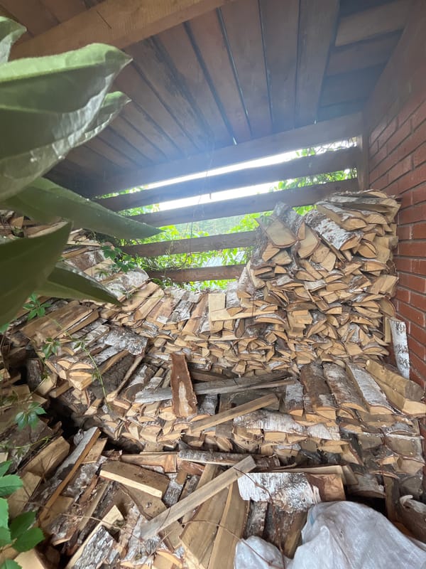 Rural life documented in Garevaya: firewood, flowers, garden scenes