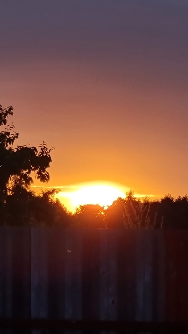Sunset over Vysokoe's residential outskirts, July 2026