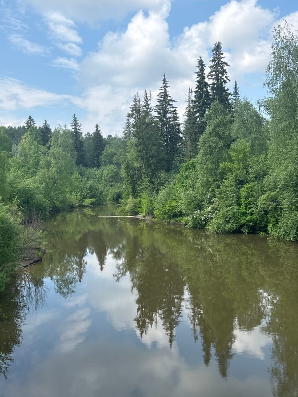 Morning walk captured near forest river in Zheleznogorsk