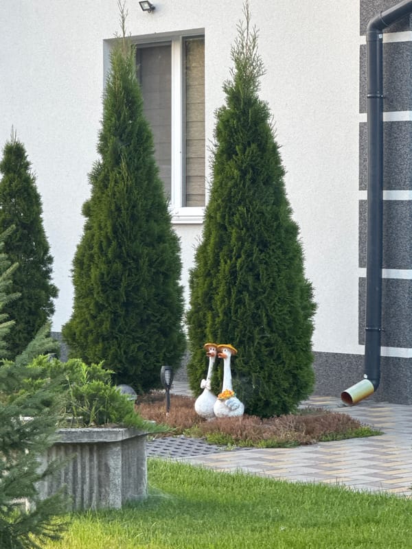 White residential house with tidy garden, Kremenchuk, Ukraine