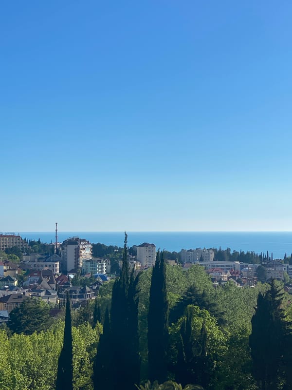 Tourist documents Sochi cityscape and hotel interiors