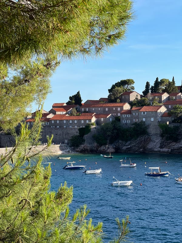 Evening at Sveti Stefan with friendly black cat