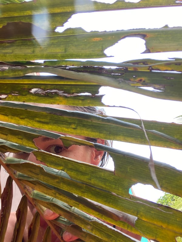 Person photographed through palm leaves wearing butterfly necklace in Thailand