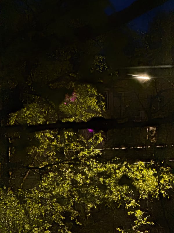 Nighttime streetlight scene captured in Saint Petersburg