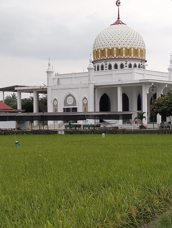 White mosque with golden dome spotted across rice fields in Blangmetimu