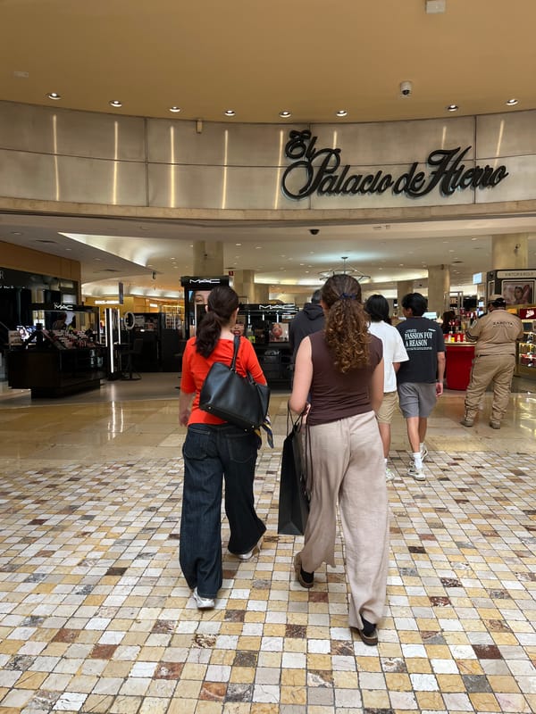 Shopper captures scenes inside El Palacio de Hierro retail store
