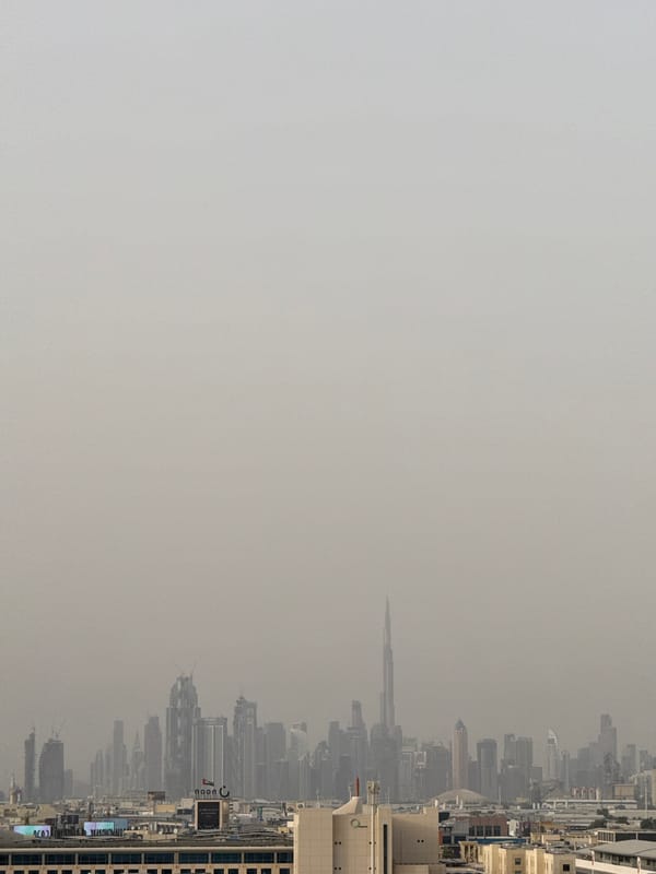 Dubai witness captures hazy skyline and ducklings on grey afternoon