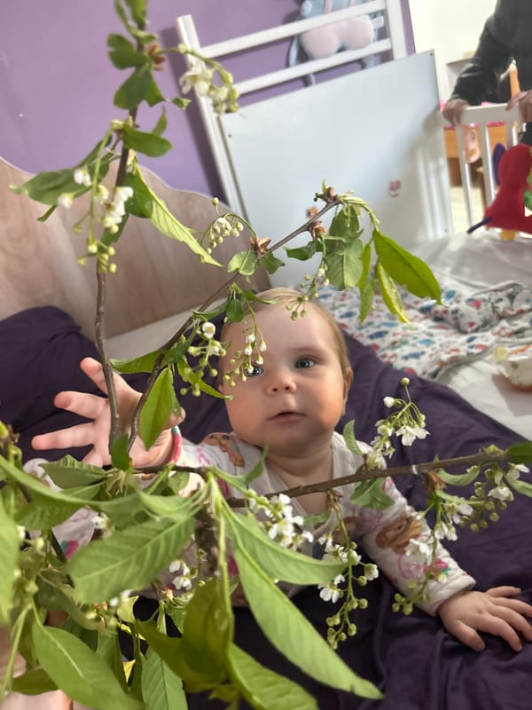 Family documents afternoon with baby, dogs, chickens in Rusalevka