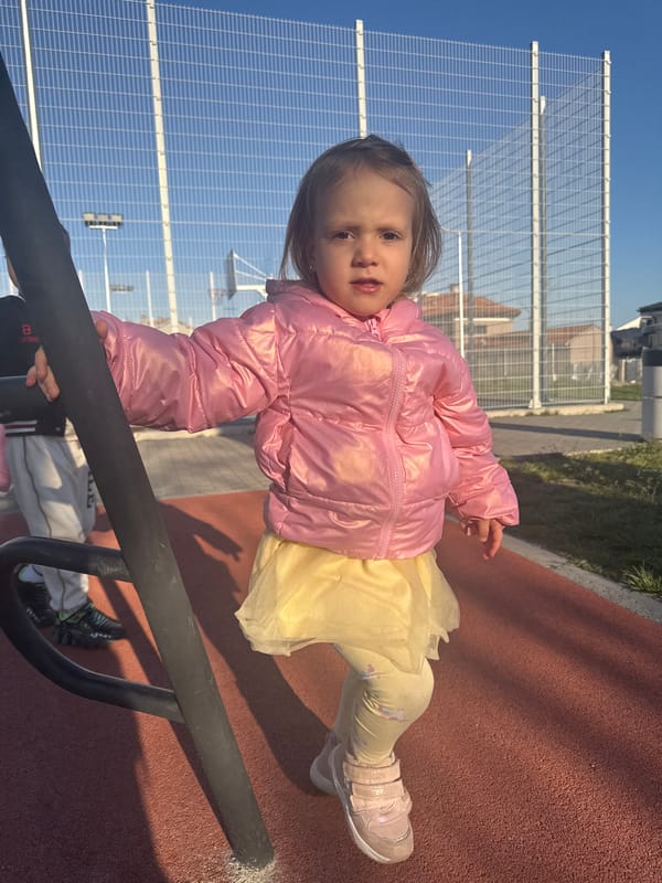 Toddler plays on monkey bars at Varna playground