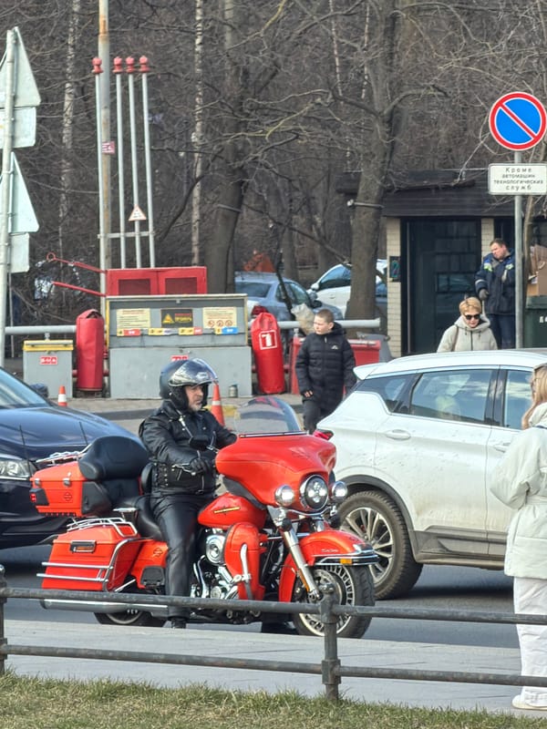 Saint Petersburg street scenes and tourist activity documented