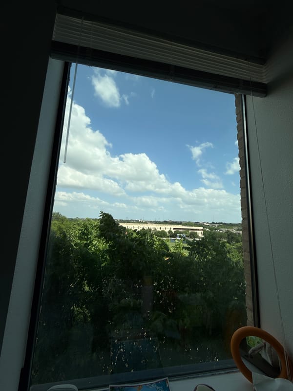 Evening domestic scenes captured across Austin residence
