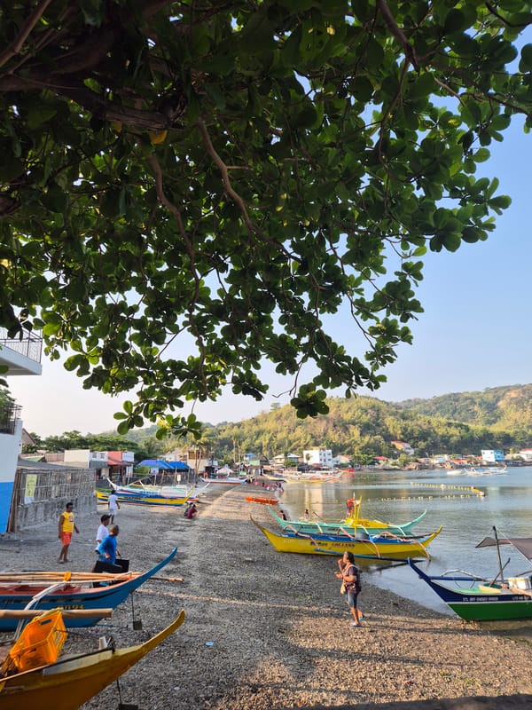 Traditional outrigger boats rest on Mabini beach