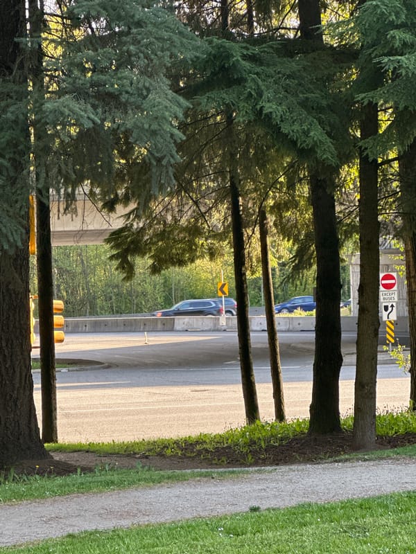 Late-night park walk documented in Burnaby, Canada