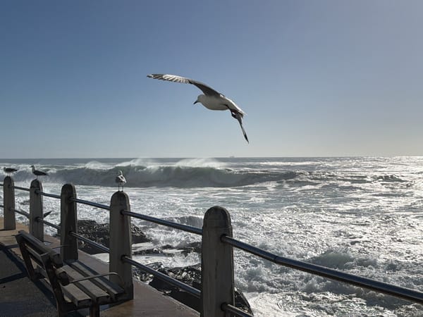 Cape Town coastal scenes documented during afternoon hours