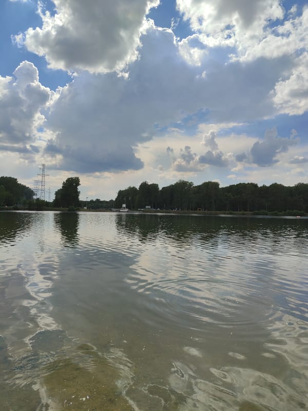 Quiet moments at a lakeside park on cloudy afternoon