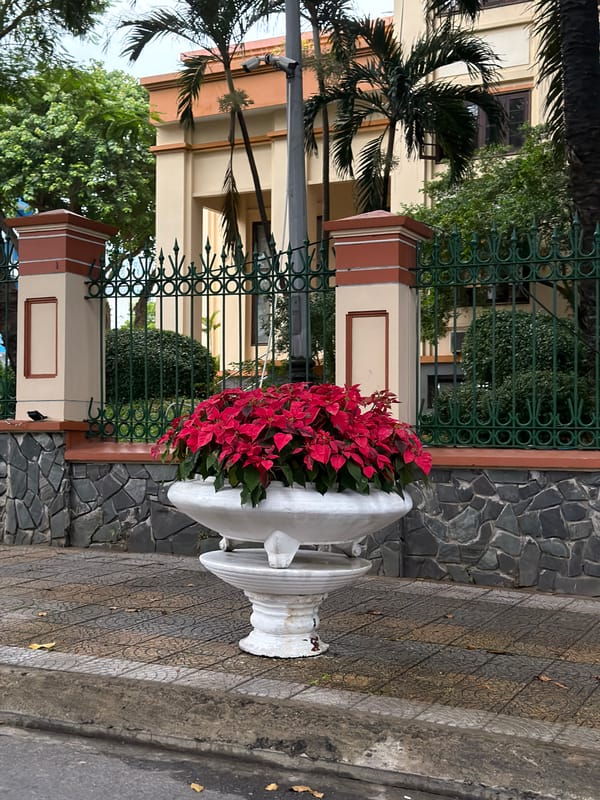 Da Nang street corner: planters, storefronts, and sidewalk life
