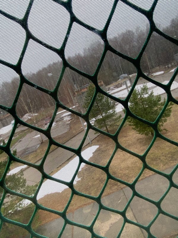 Morning moments documented in Markovskiy, Russia