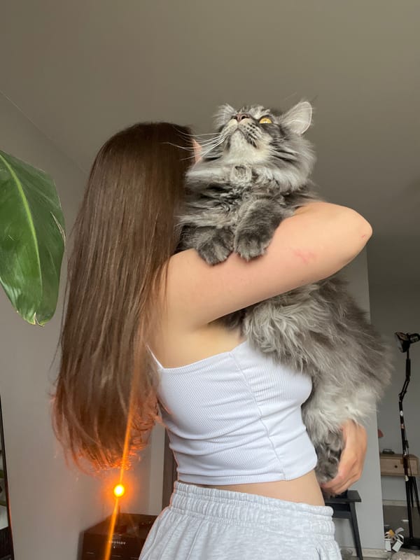 Woman takes mirror selfies with cat in Ternopil home